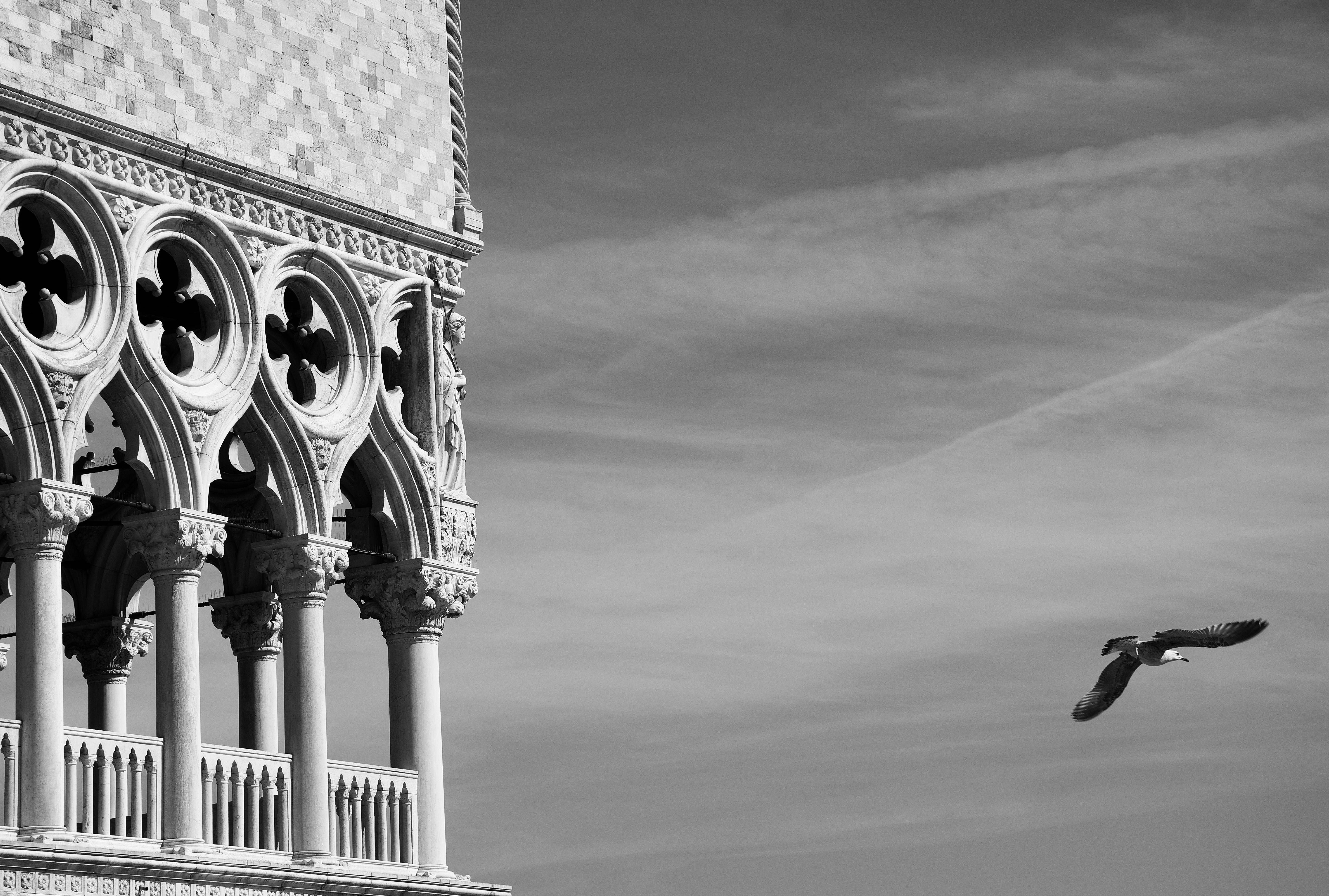 image representing Palazzo Ducale