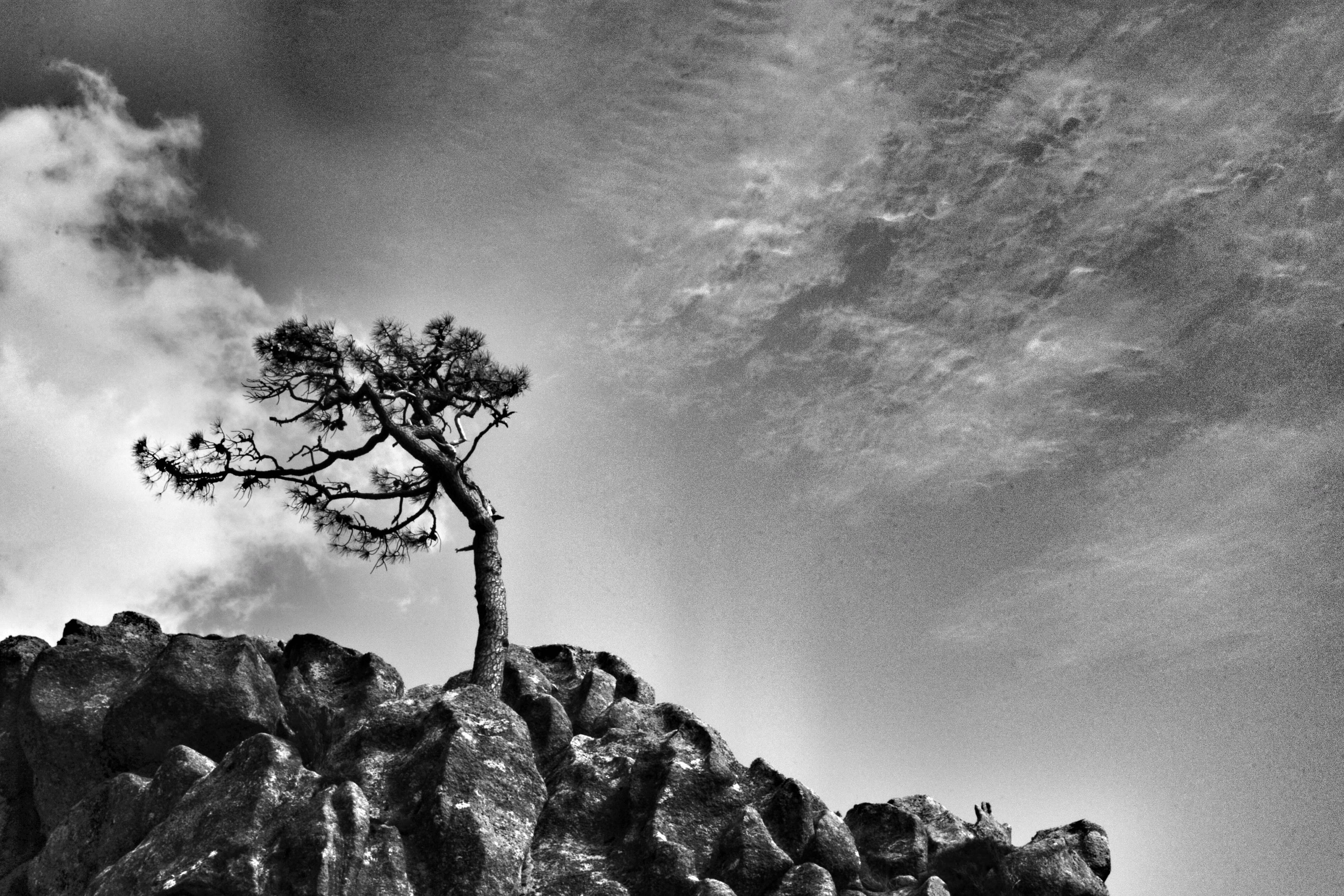 image representing Resilienza