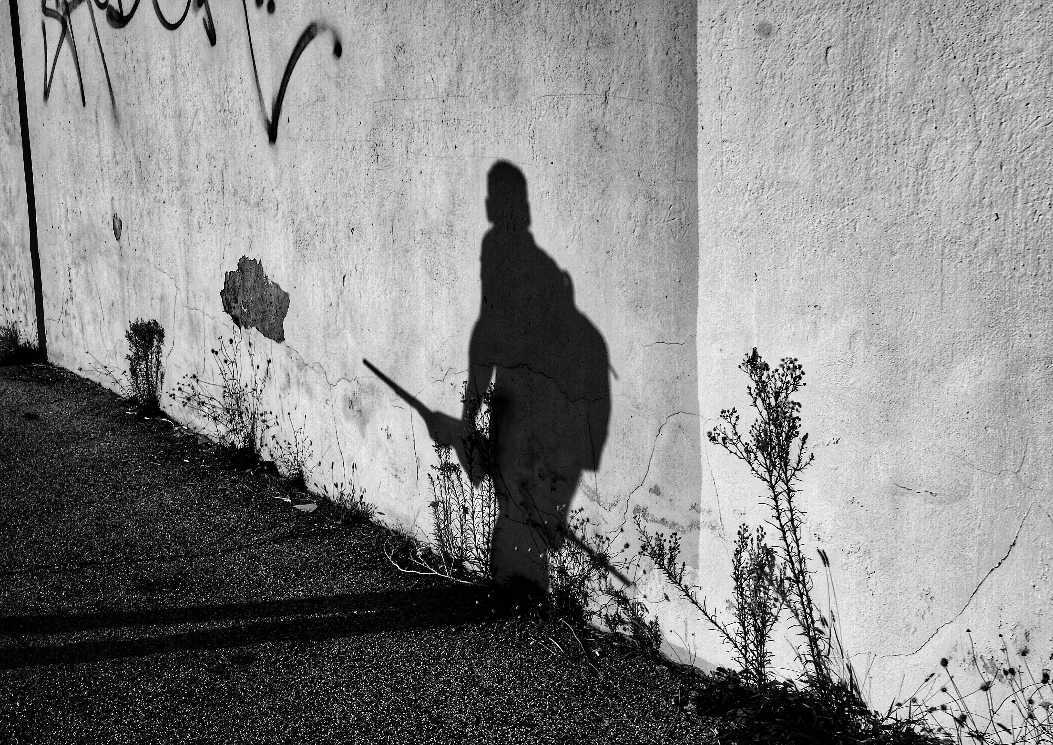 image representing Il corteo è finito