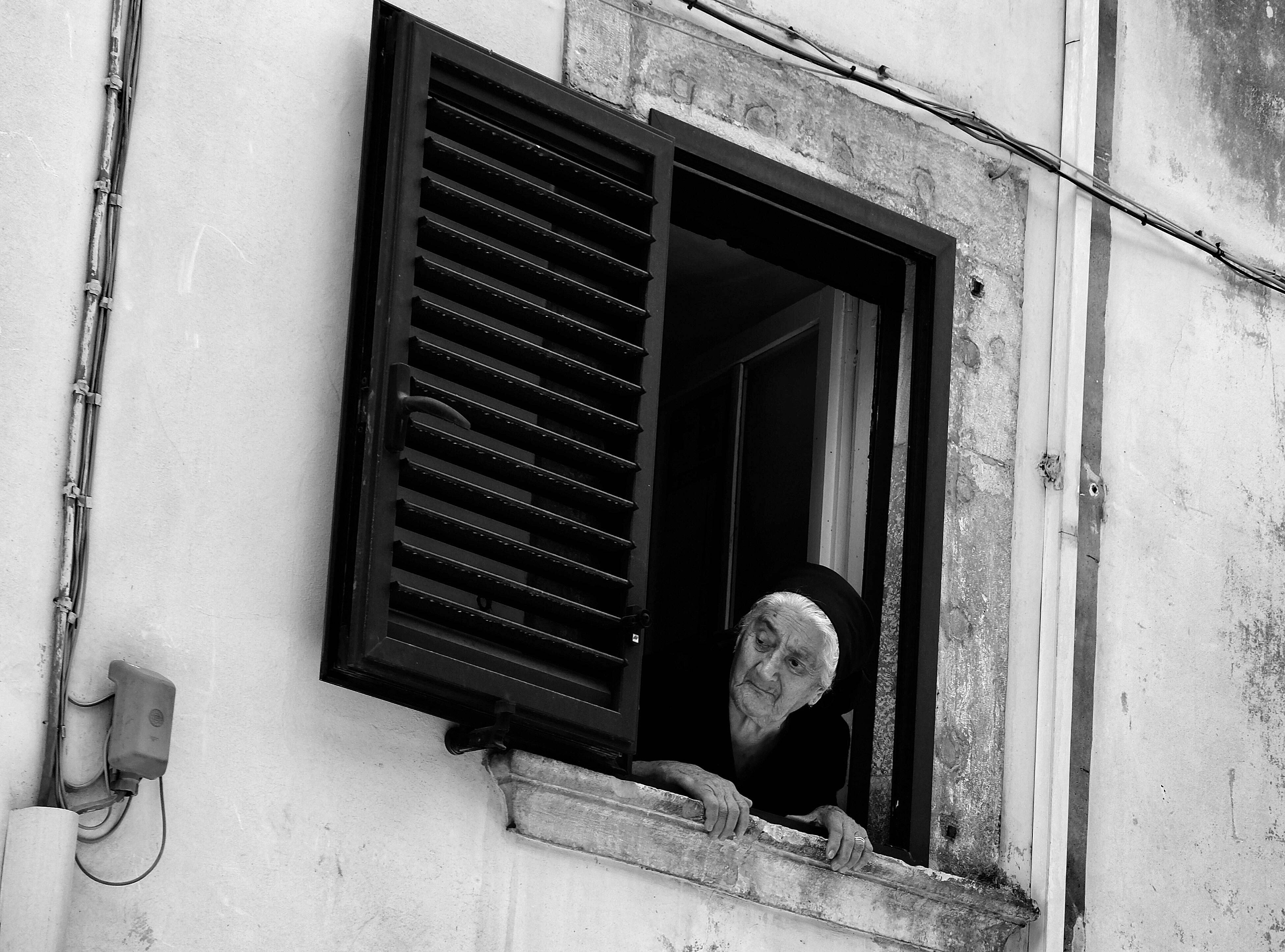 image representing La sentinella 