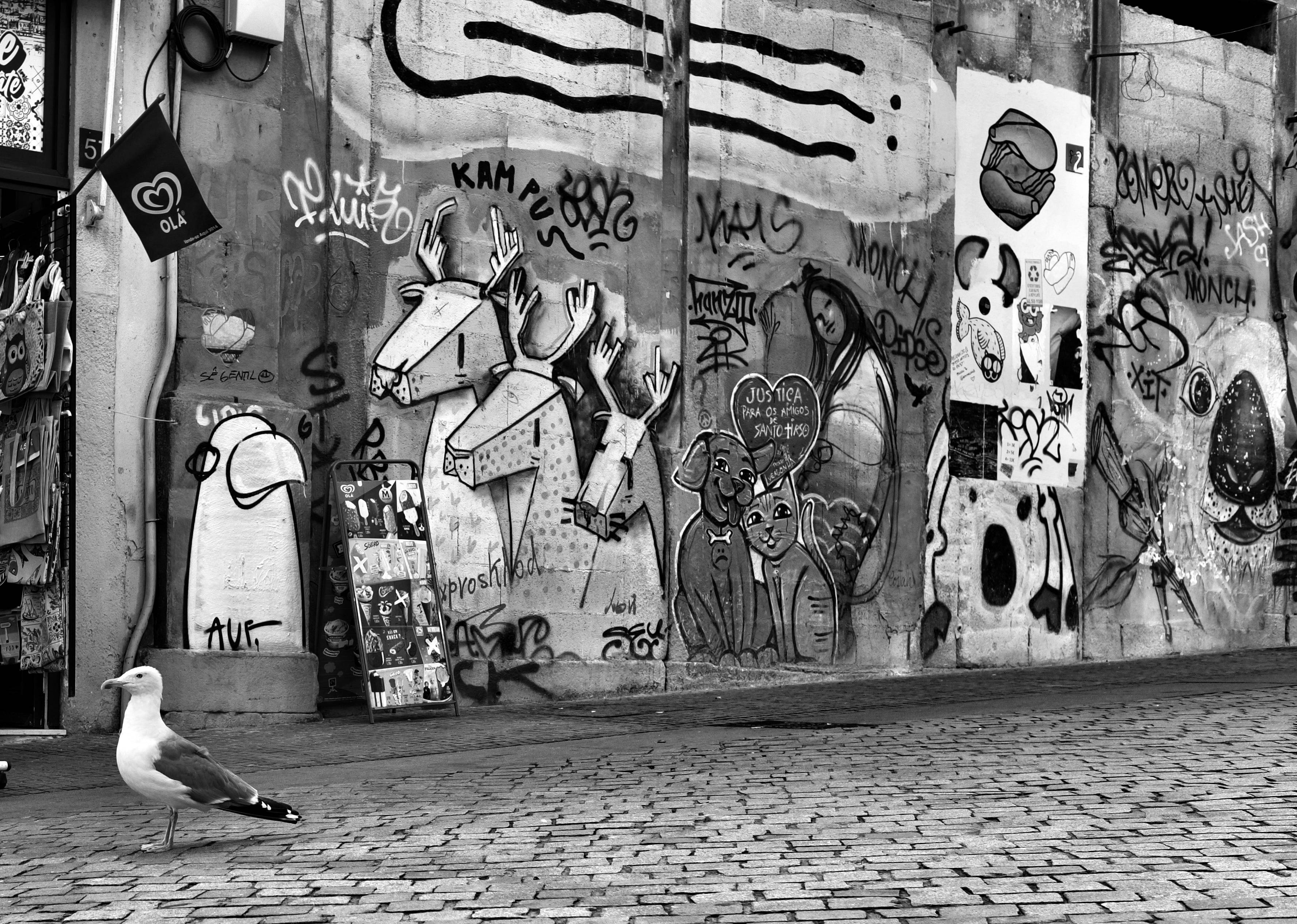 image representing Murales con gabbiano