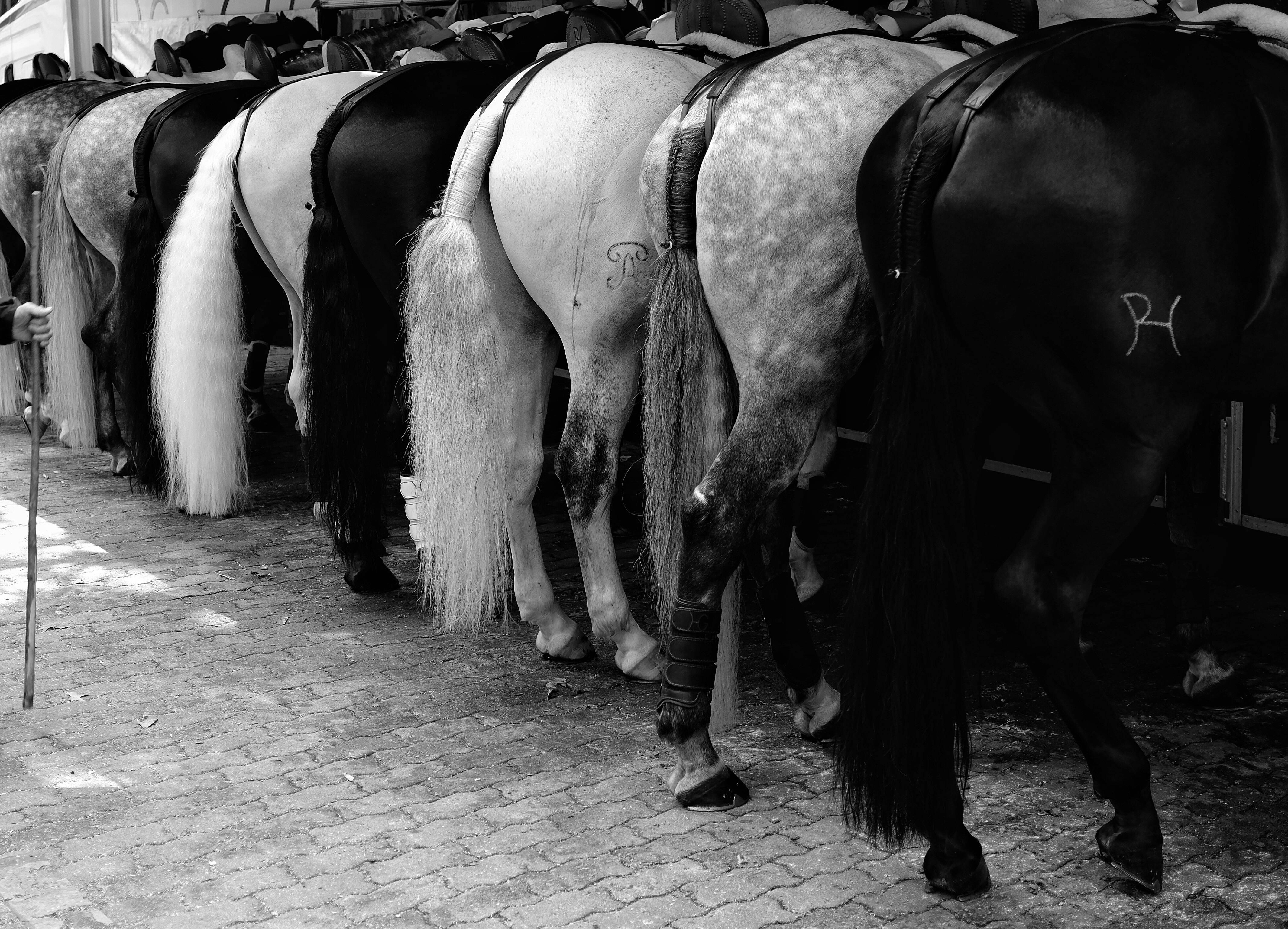 image representing Untitled