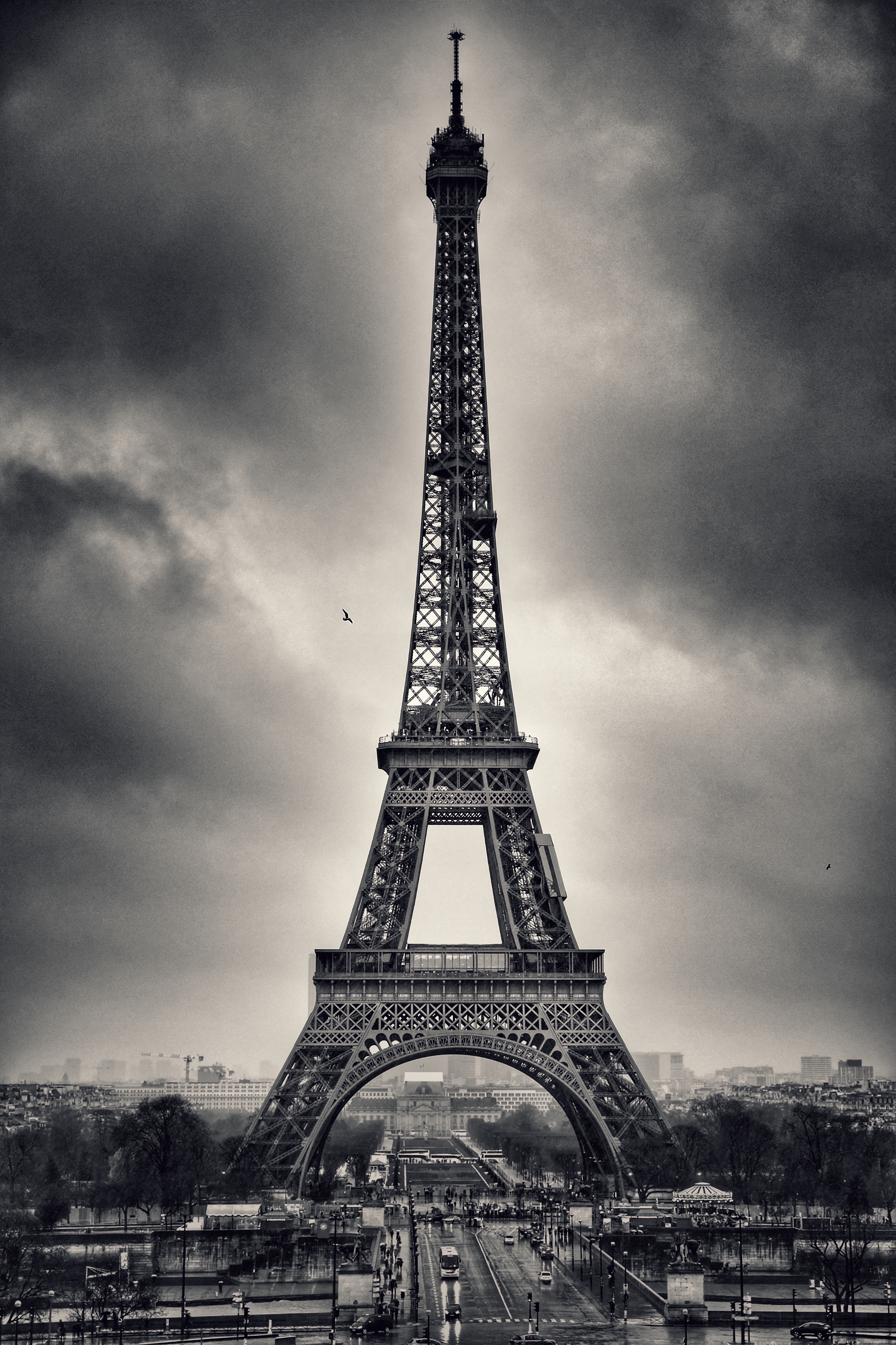 image representing La torre e il gabbiano