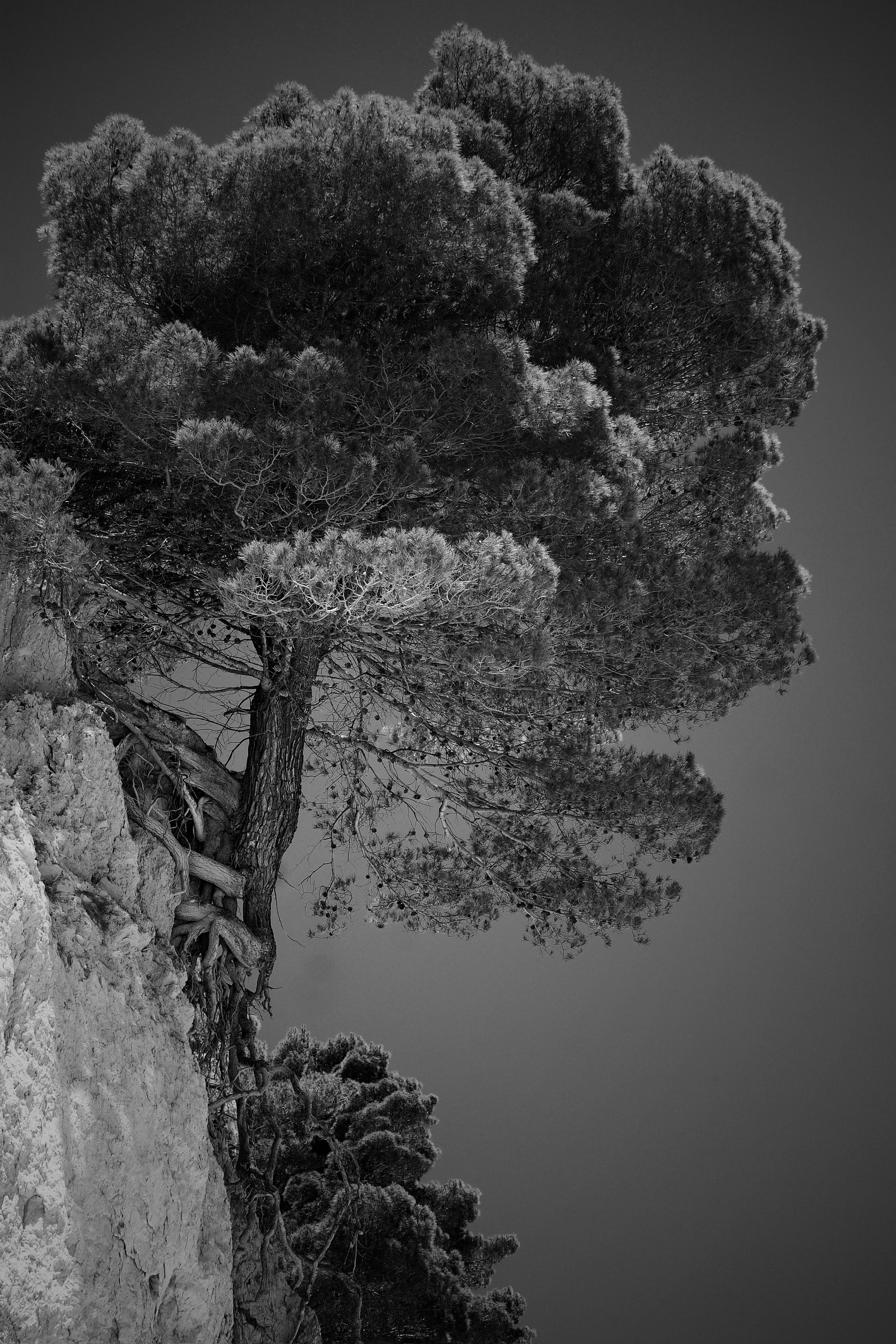 image representing Grip