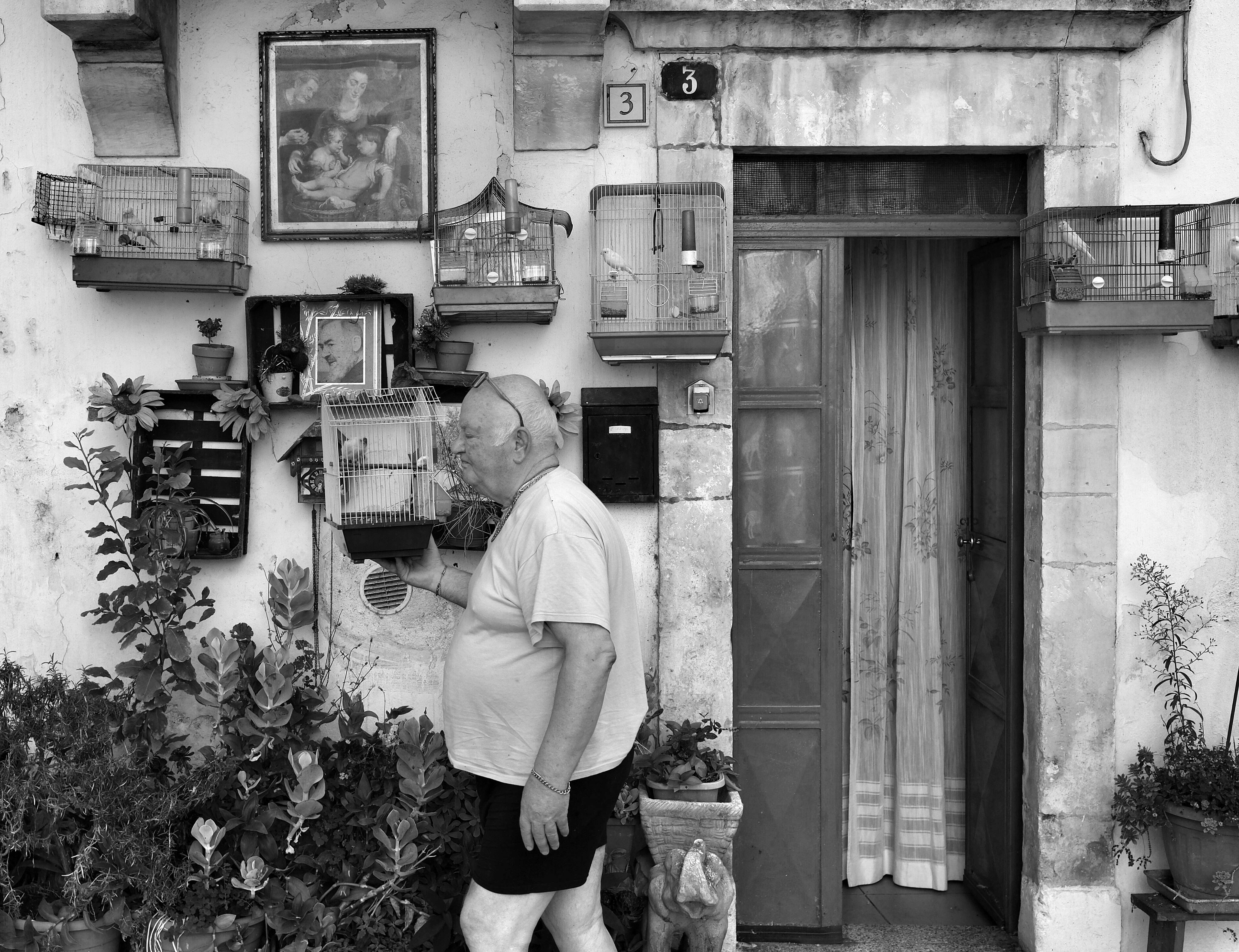 image representing L’uomo dei canarini