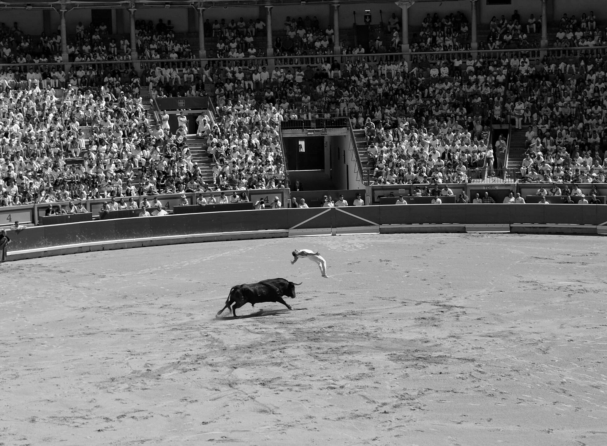 image representing Giochi pericolosi 