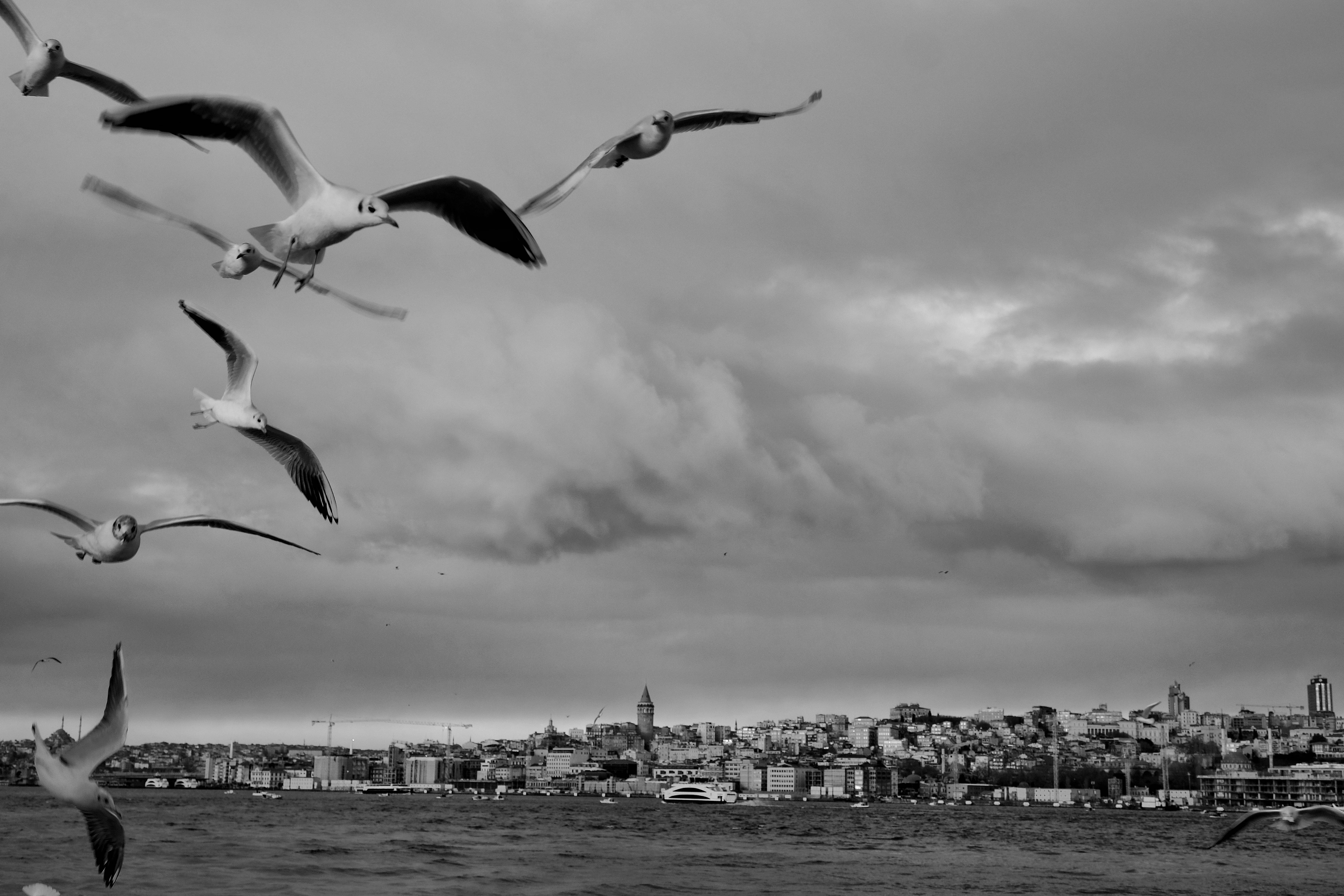 image representing Volo sul Bosforo 