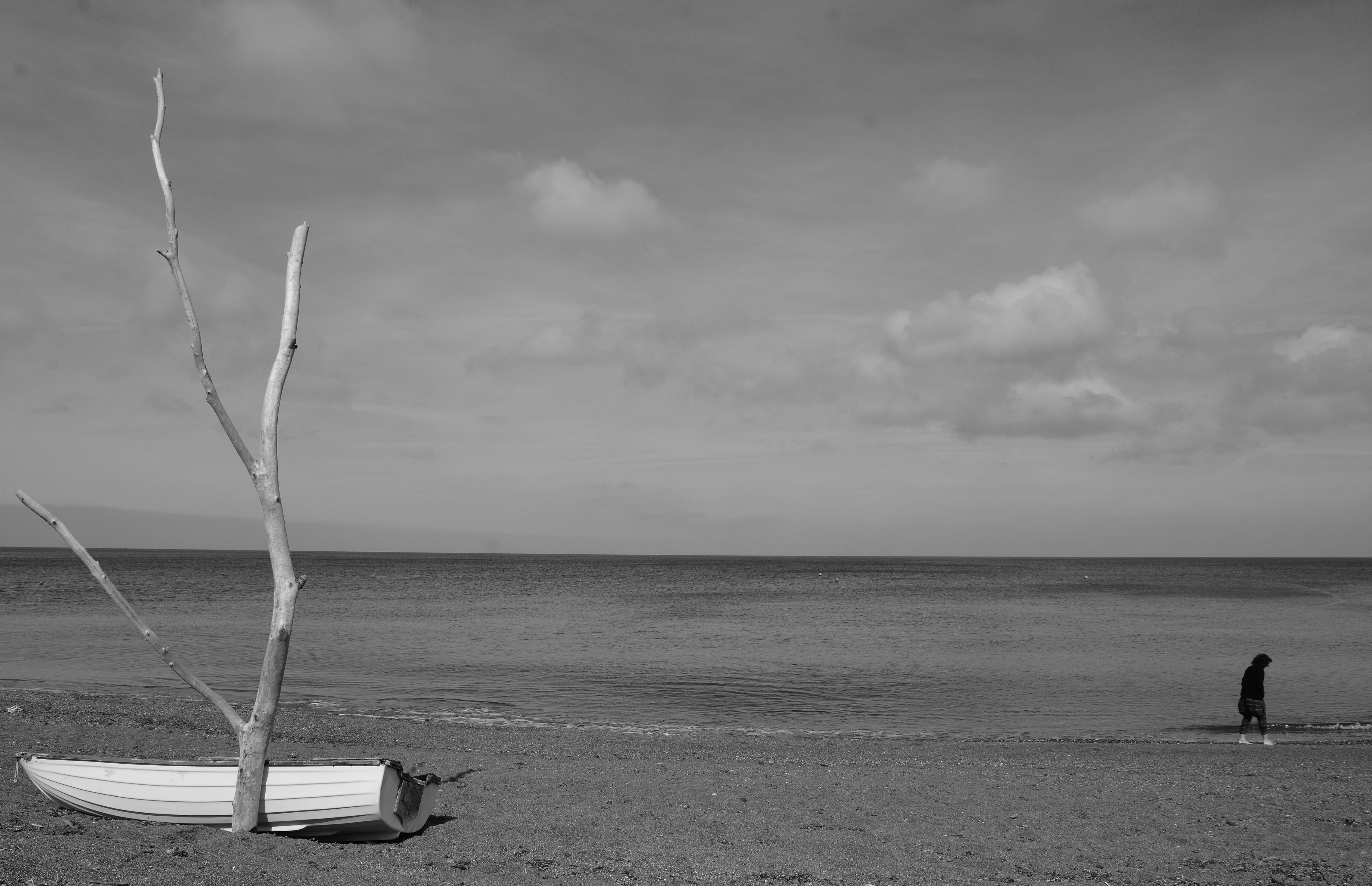 image representing Solitaria